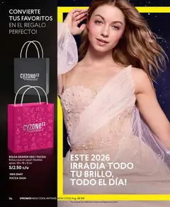 Vista previa de folleto CyZone - Campaña 1 de la CyZone válido desde 18.12.2025 | Página: 94