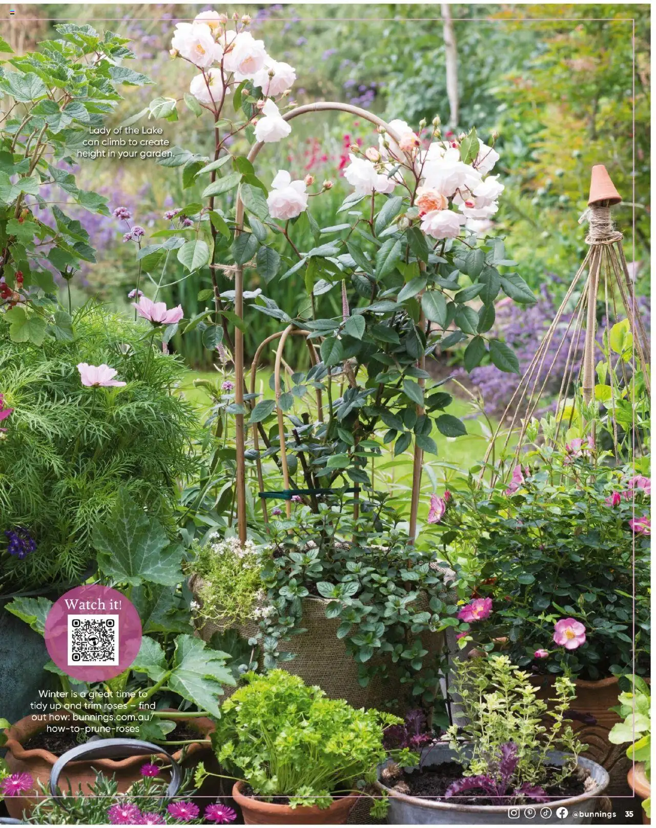Bunnings Warehouse catalogue - valid from 01.07.2025 | Page: 35 | Products: Watch