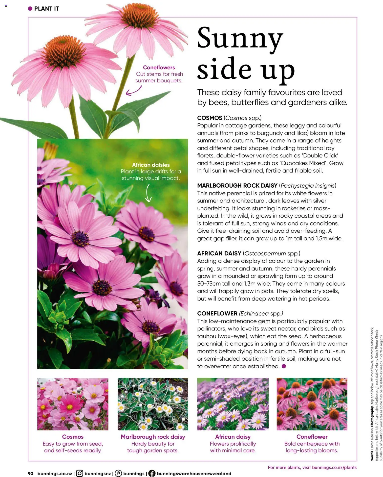 Bunnings Warehouse catalogue from 01.12.2025 | Page: 90