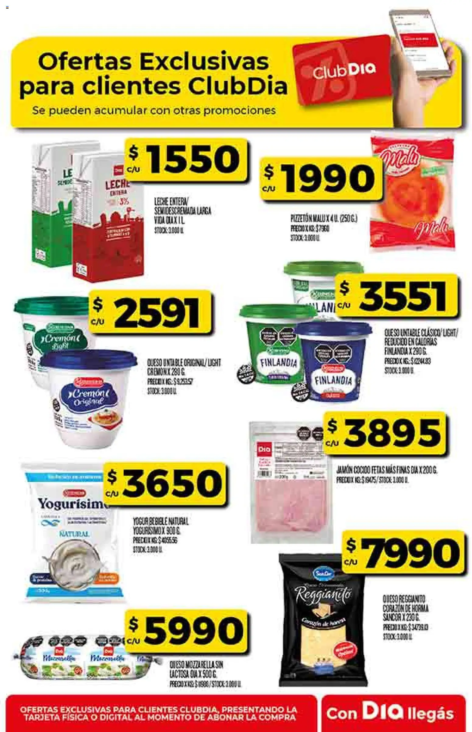 Supermercado DIA Ofertas │ válido desde el 10.12.2025 | Página: 41 | Productos: Jamón cocido, Leche, Queso, Yogur