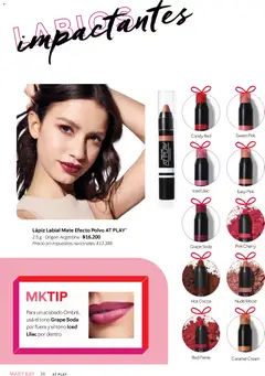 Vista previa Mary Kay catálogo válido desde el 03.12.2025 | Página: 38 | Productos: Mate, Polvo, Lápiz labial, Soda