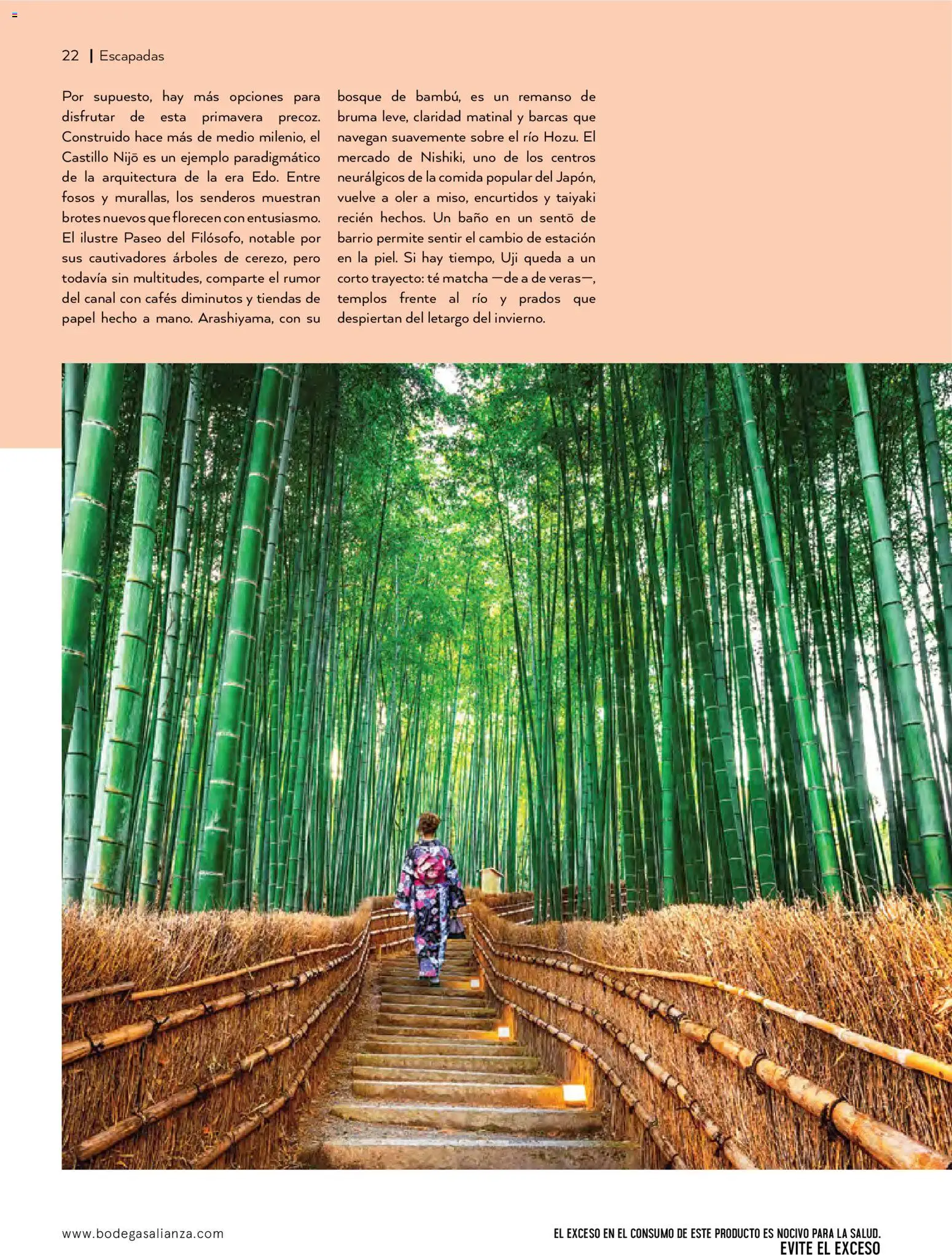 Nuevas ofertas de Bodegas Alianza válidas en toda la República Mexicana desde el 01.01.2026. ¡Encuentra las mejores ofertas en Bodegas Alianza catálogo! | Página: 24 | Productos: Bruma, Té, Baño, Sobre