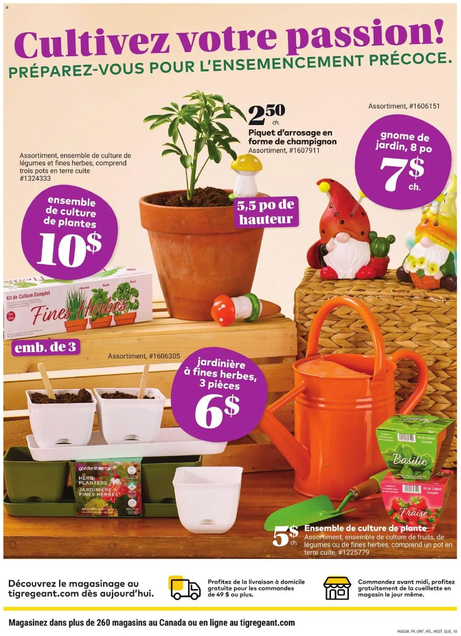 Giant Tiger flyer valid from 11.02.2026 | Page: 12