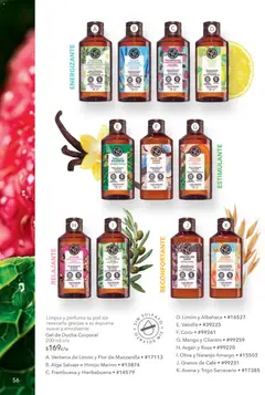 Vista previa de Yves Rocher campaña 4 2026, nuevo folleto de la tienda, válido en México a partir del 03.03.2026 | Página: 58