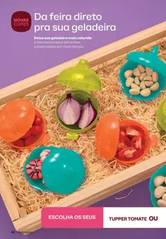 Tupperware - Catálogo Vitrine 02 - Pré-Visualização do folheto da loja Tupperware, válido de 01.02.2026 | Página: 84 | Produtos: Geladeira