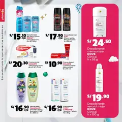 Vista previa de folleto Plaza Vea - ESPECIAL SURTIDOS NAVIDAD N3 de la Plaza Vea válido desde 15.12.2025 | Página: 26