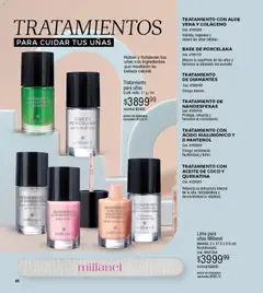 Vista previa Millanel - Catálogo válido desde el 30.03.2026 | Página: 80