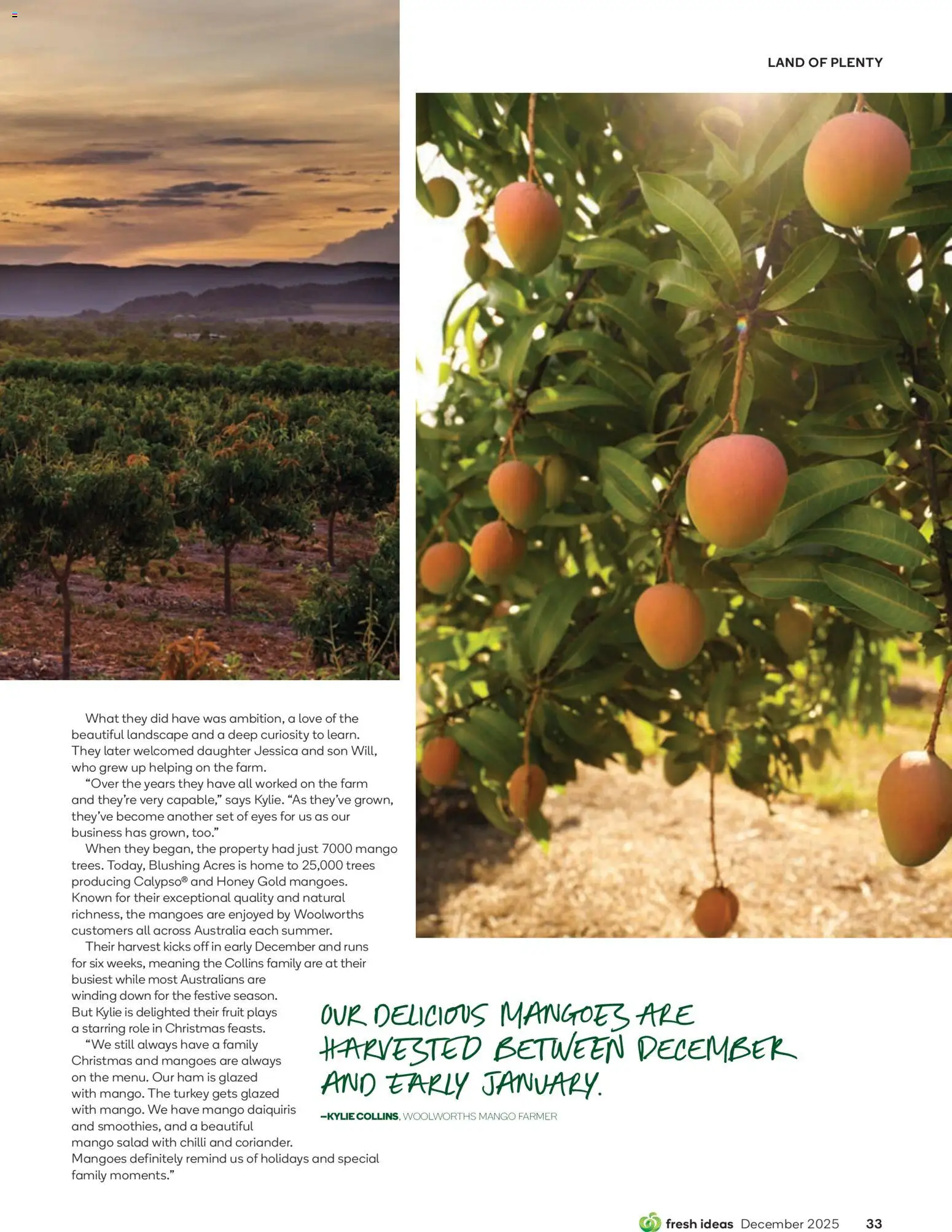 Woolworths catalogue - valid from 01.12.2025 | Page: 33 | Products: Honey, Landscape, Salad, Chilli