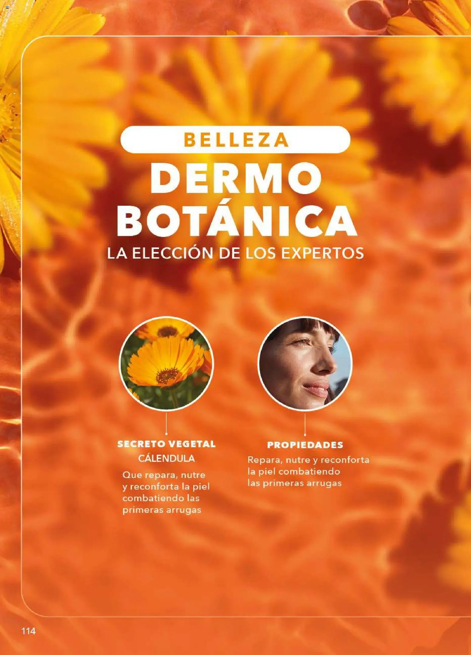 Nuevas ofertas de Yves Rocher válidas en toda la República Mexicana desde el 09.12.2025. ¡Encuentra las mejores ofertas en Yves Rocher campaña 17 2025! | Página: 116