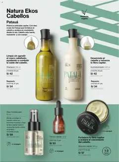 Vista previa de folleto Natura - Ciclo 16 de la Natura válido desde 12.10.2025 | Página: 138