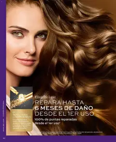 Catálogo L'Bel Campaña 3 válido desde el 01.02.2026 | Página: 41 | Productos: Plancha