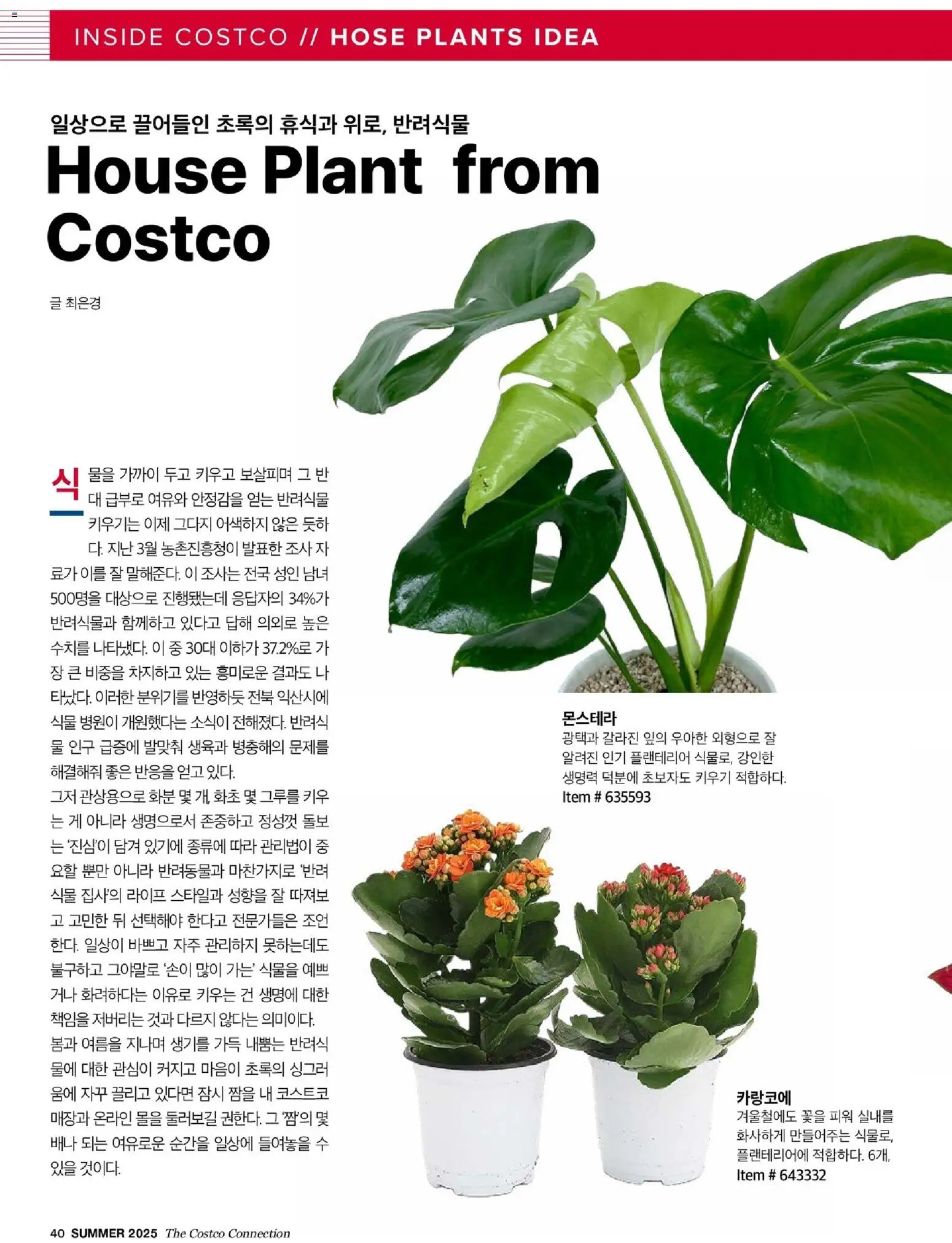  | 페이지: 42 | 상품: 물, 화분