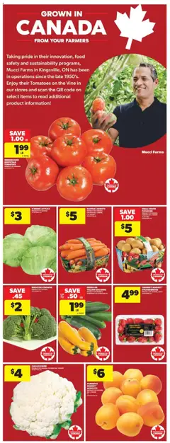 Real Canadian Superstore flyer valid from 24.07.2025 | Page: 15 | Products: Strawberries, Potatoes, Basket, Tomatoes
