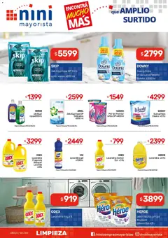 Vista previa NINI Mayorista - Ofertas válido desde el 16.02.2026 | Página: 8