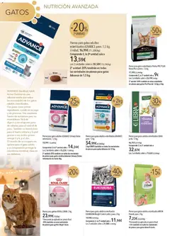 Vista previa de El Corte Inglés catálogo Mascota Diciembre, nuevo folleto de la tienda, válido en México a partir del 01.12.2025 | Página: 12 | Productos: Pollo, Fuente, Jugo