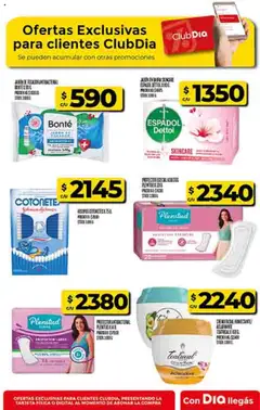 Dia - Ofertas - Salta y Jujuy │ válido desde el 17.09.2025 | Página: 63 | Productos: Chal