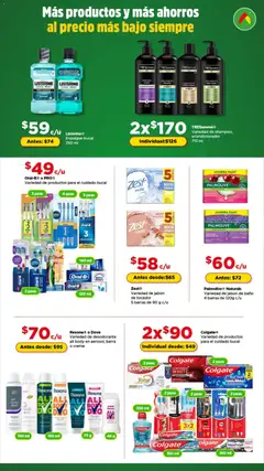 Vista previa de Bodega Aurrerá folleto Encuentra todo para tus mascotas, nuevo folleto de la tienda, válido en México a partir del 01.01.2026 | Página: 6 | Productos: Enjuague bucal, Body, Acondicionador, Jabón