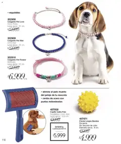 Vista previa Violetta catálogo válido desde el 09.10.2025 | Página: 116