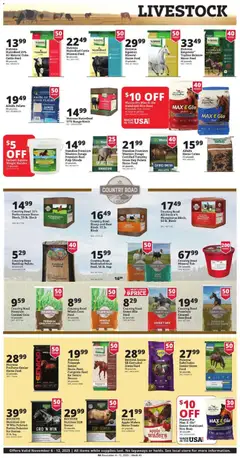 Preview of Rural King weekly ads valid from 06.11.2025 | Page: 9