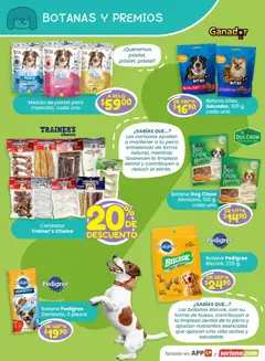 Vista previa de Soriana - Especial Mascotas Súper Nacional, nuevo folleto de la tienda, válido en México a partir del 29.01.2026 | Página: 5 | Productos: Pastel, Galletitas