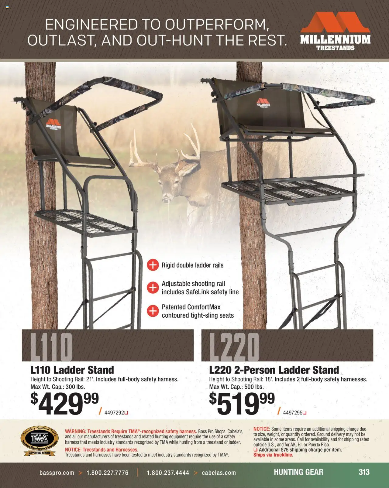 Cabela's Hunting Master 25 - valid from 11.08.2025 | Page: 313 | Products: Ladder