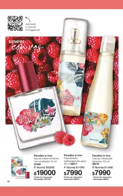 Gigot catálogo │ válido desde el 12.08.2025 | Página: 62 | Productos: Fragancia, Eau de toilette, Desodorante, Antitranspirante