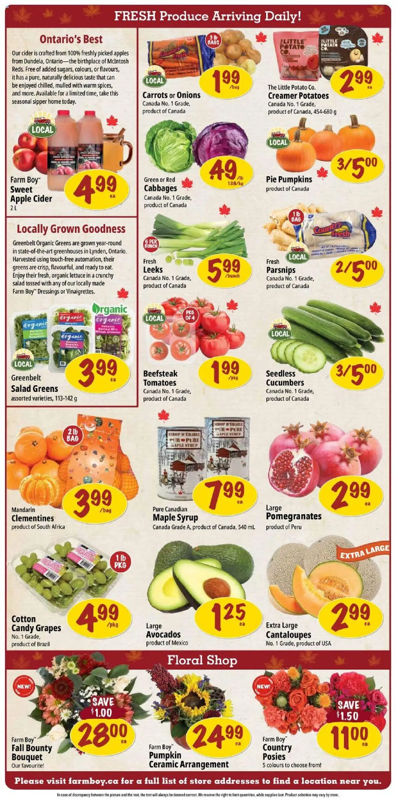 Farm Boy flyer valid from 09.10.2025 | Page: 4 | Products: Cucumbers, Pumpkin, Apples, Tomatoes