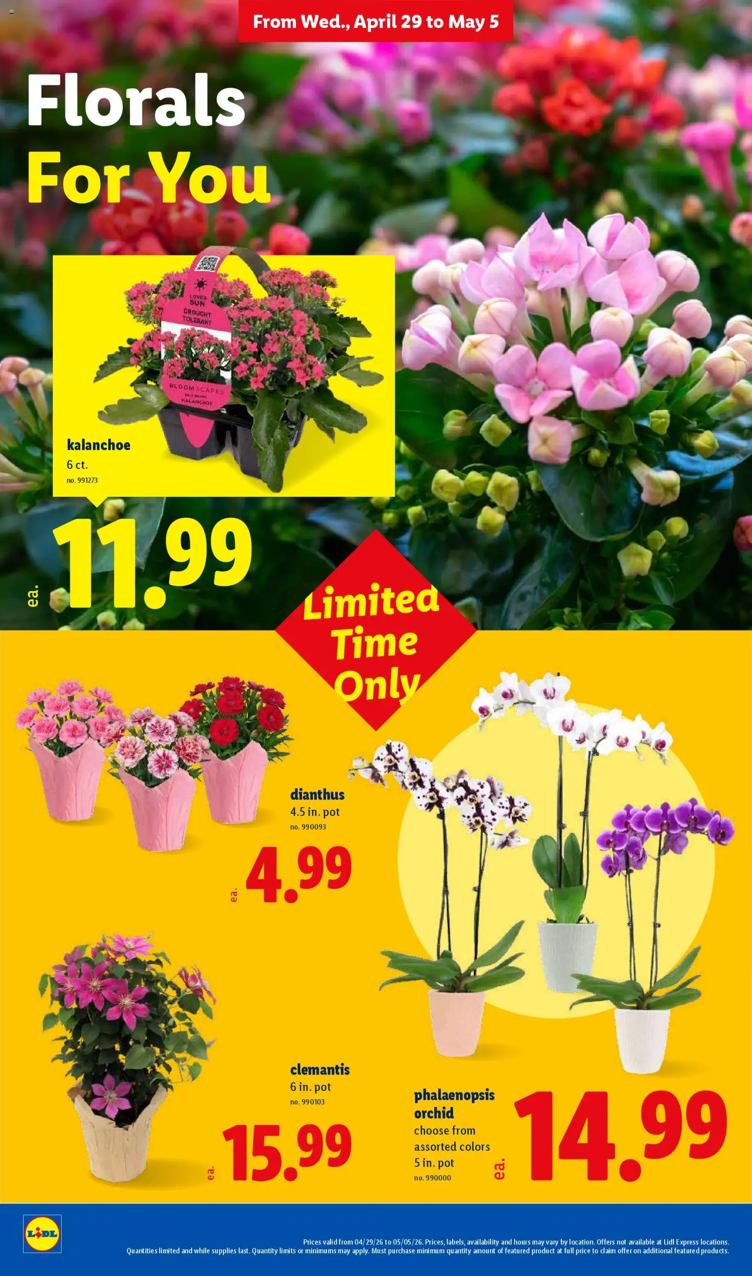 Exclusive Sneak Peek: Lidl Weekly Ad Starting 04/29/2026! Shop Smarter! | United States