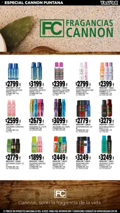 Yaguar catálogo │ válido desde el 15.09.2025 | Página: 20 | Productos: Fragancia, Desodorante
