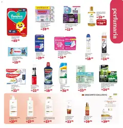 Bistek Supermercados ofertas Quinzenal - Pré-Visualização do folheto da loja Bistek Supermercados, válido de 22.04.2026 | Página: 15