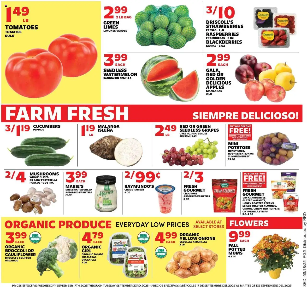 Sedano's Current Ad - FL - valid from 17.09.2025 | Page: 2 | Products: Mushrooms, Kale, Cucumbers, Grapes