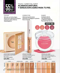 CyZone - Catálogo CyZone C02 -  Vista previa de la revista de la tienda CyZone valido desde el 01.02.2026 | Página: 46 | Productos: Rubor, Corrector