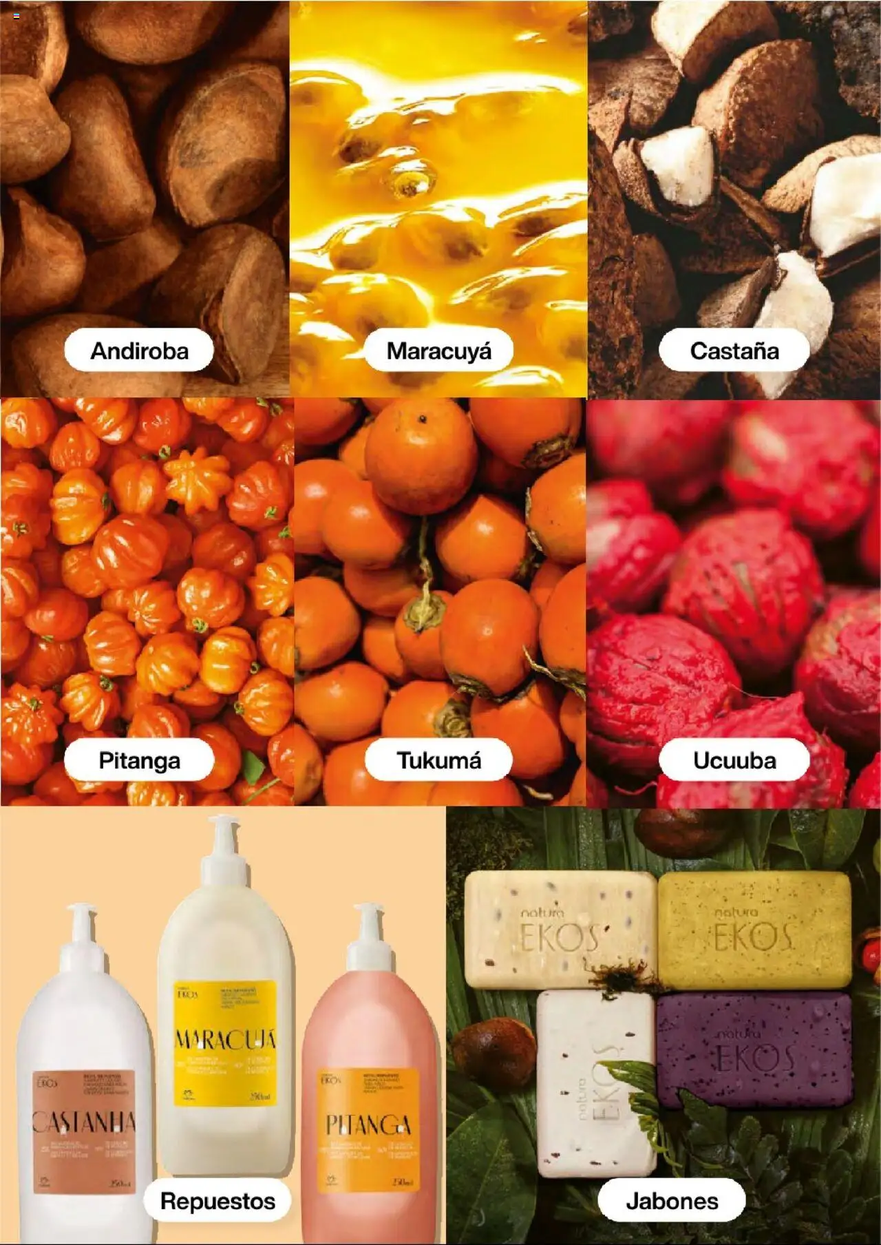 Natura revista - valida desde el 03.09.2025 | Página: 104 | Productos: Maracuyá