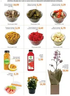 Sonda - Ofertas FDS - Pré-Visualização do folheto da loja Sonda, válido de 13.02.2026 | Página: 6