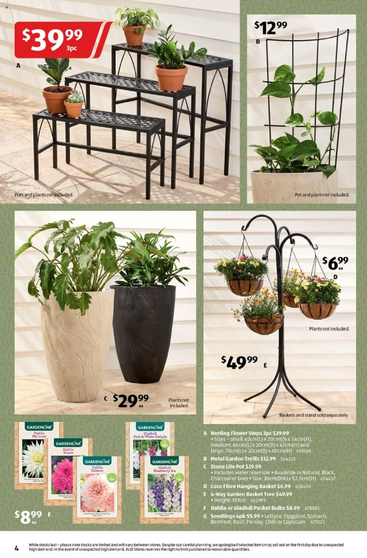 Aldi catalogue - valid from 24.09.2025 | Page: 4 | Products: Capsicum, Plant, Water, Chilli