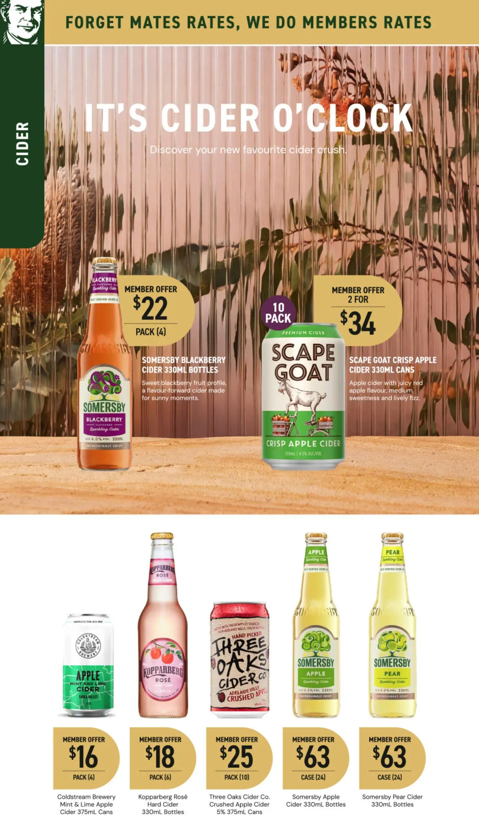 Dan Murphy's catalogue - valid from 19.02.2026 | Page: 31 | Products: Apples, Lime, Pear, Case
