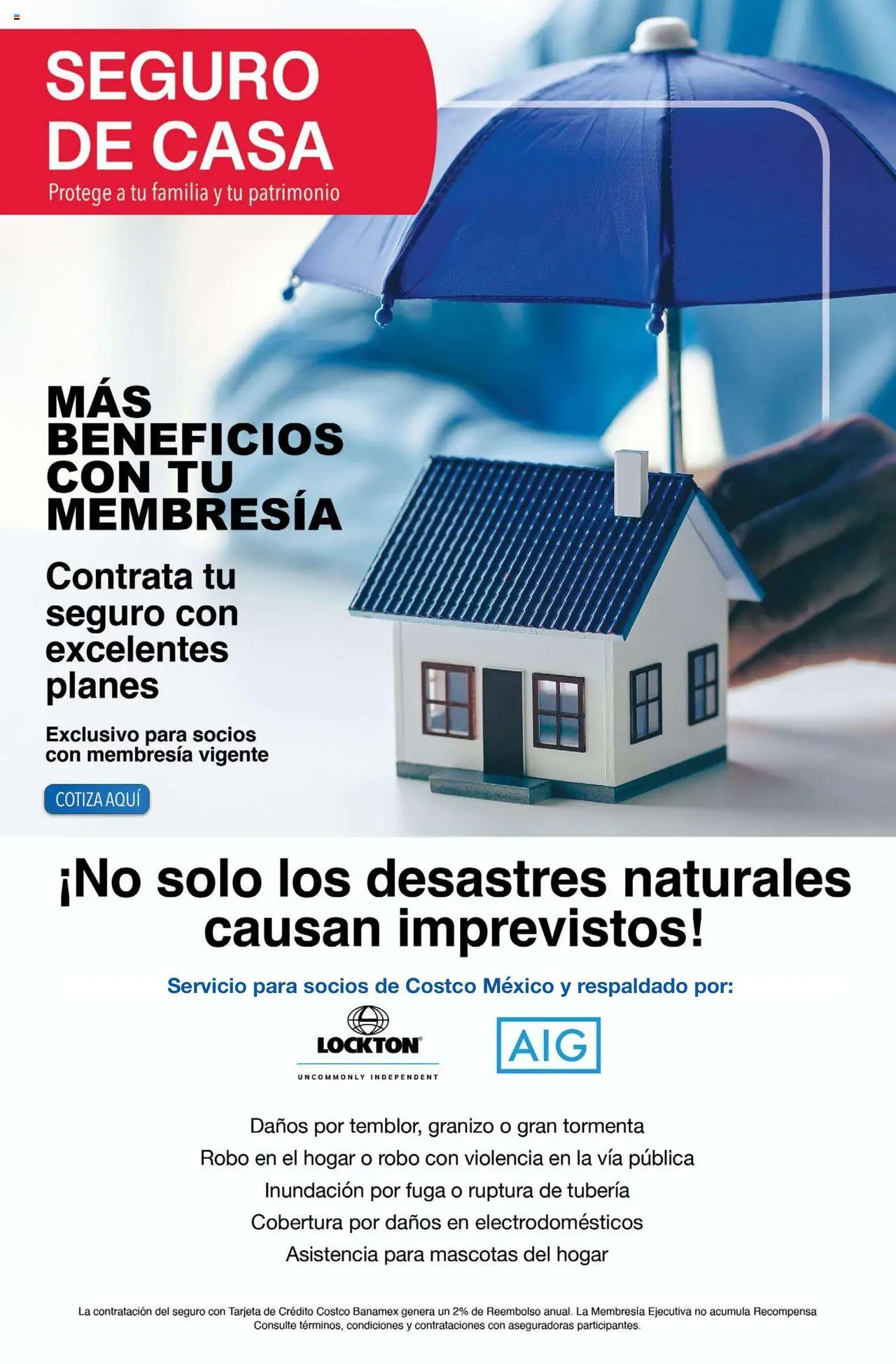 Nuevas ofertas de Costco válidas en toda la República Mexicana desde el 10.09.2025. ¡Encuentra las mejores ofertas en Costco - Catálogo Septiembre! | Página: 31