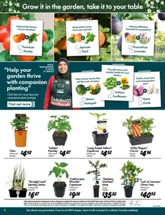 Bunnings Warehouse catalogue - valid from 10.09.2025 | Page: 2 | Products: Pot, Plant, Lettuce, Passionfruit