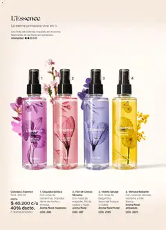 Yanbal - Catálogo C 1/2026  -  Vista previa de la revista de la tienda Yanbal valido desde el 03.01.2026 | Página: 94