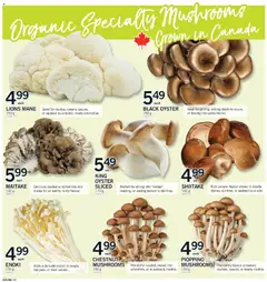 Preview of Fortinos weekly flyer / circulaire from shop Fortinos valid from 30.10.2025 | Page: 10