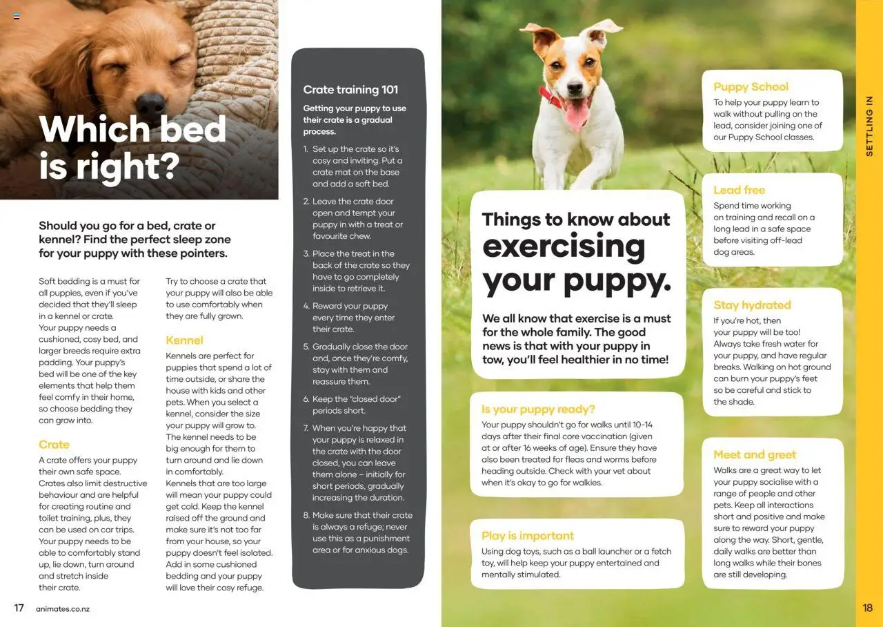 Animates catalogue from 01.01.2024 | Page: 10