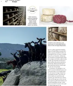 Nuevas ofertas de El Corte Inglés válidas en toda la República Mexicana desde el 27.06.2025. ¡Encuentra las mejores ofertas en El Corte Inglés Gourmet Magazin! | Página: 47 | Productos: Leche, Queso, Res, Medalla