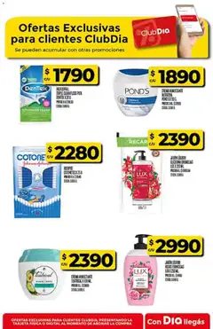 Vista previa Supermercado DIA Ofertas válido desde el 29.10.2025 | Página: 50