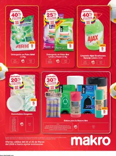 Makro catálogo makromania -  Vista previa de la revista de la tienda Makro valido desde el 20.03.2026 | Página: 13 | Productos: Brillo, Limón, Limpiador, Polvo