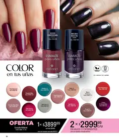 Millanel catálogo │ válido desde el 15.09.2025 | Página: 84 | Productos: Mate, Petróleo