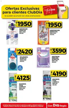 Vista previa Supermercado DIA Ofertas válido desde el 04.03.2026 | Página: 57 | Productos: Desinfectante, Mochila, Limpiador, Canasta