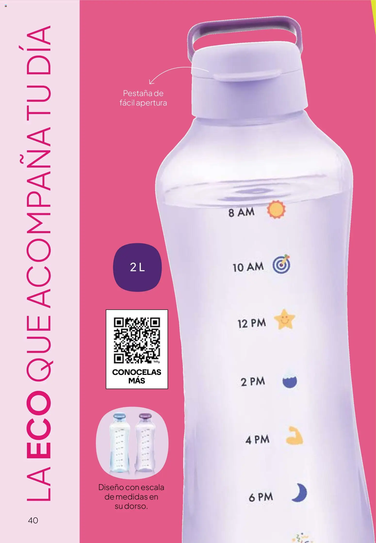 Tupperware Folleto │ válido desde el 24.11.2025 | Página: 41