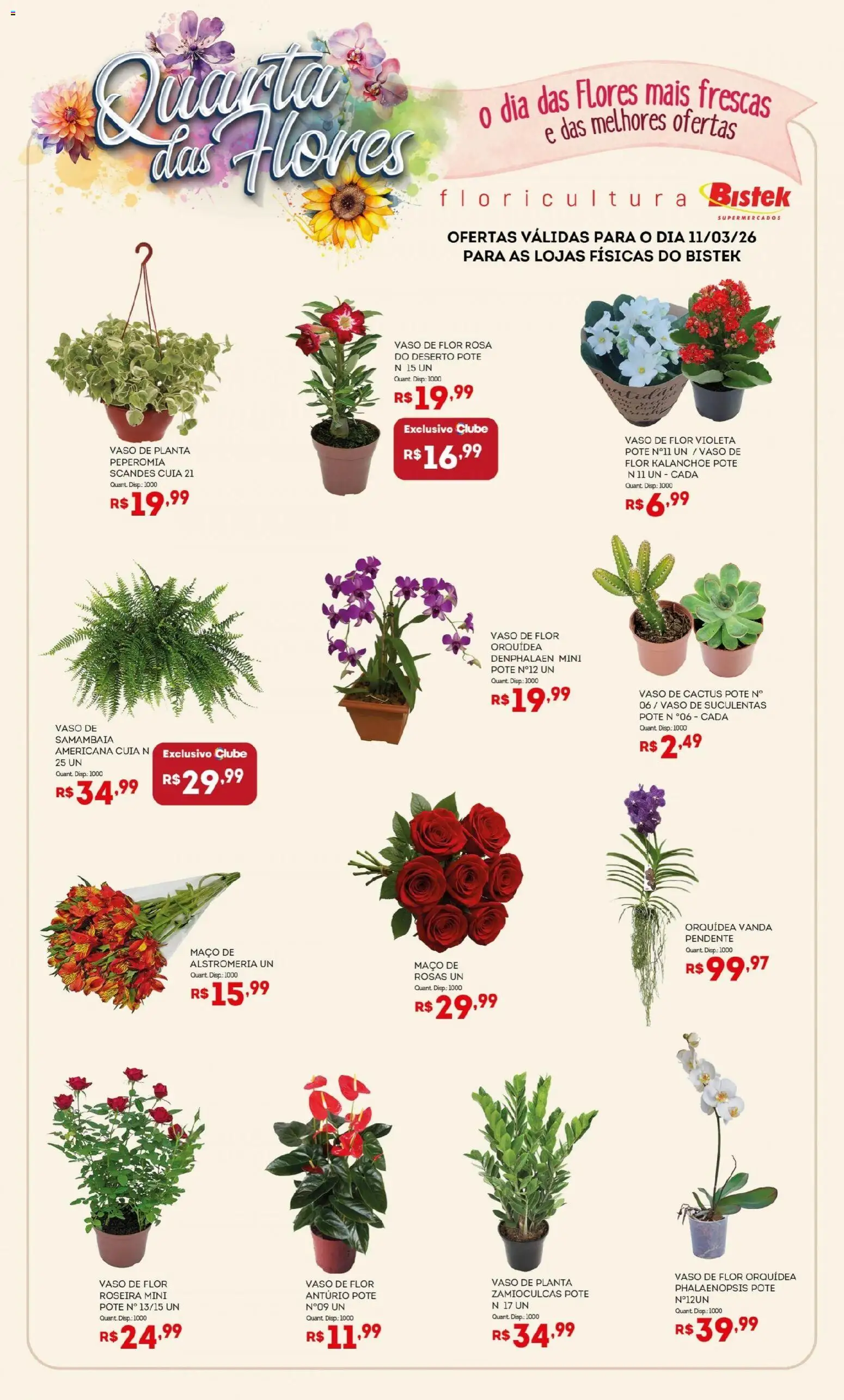 Bistek Supermercados Folheto - válido de 11.03.2026 | Página: 1 | Produtos: Denphalaen, Flores, Vaso