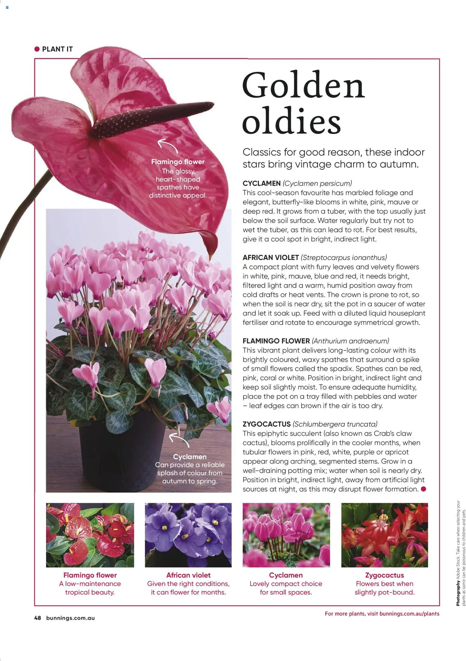 Bunnings Warehouse catalogue - valid from 01.03.2026 | Page: 48 | Products: Light, Pot, Plant, Water