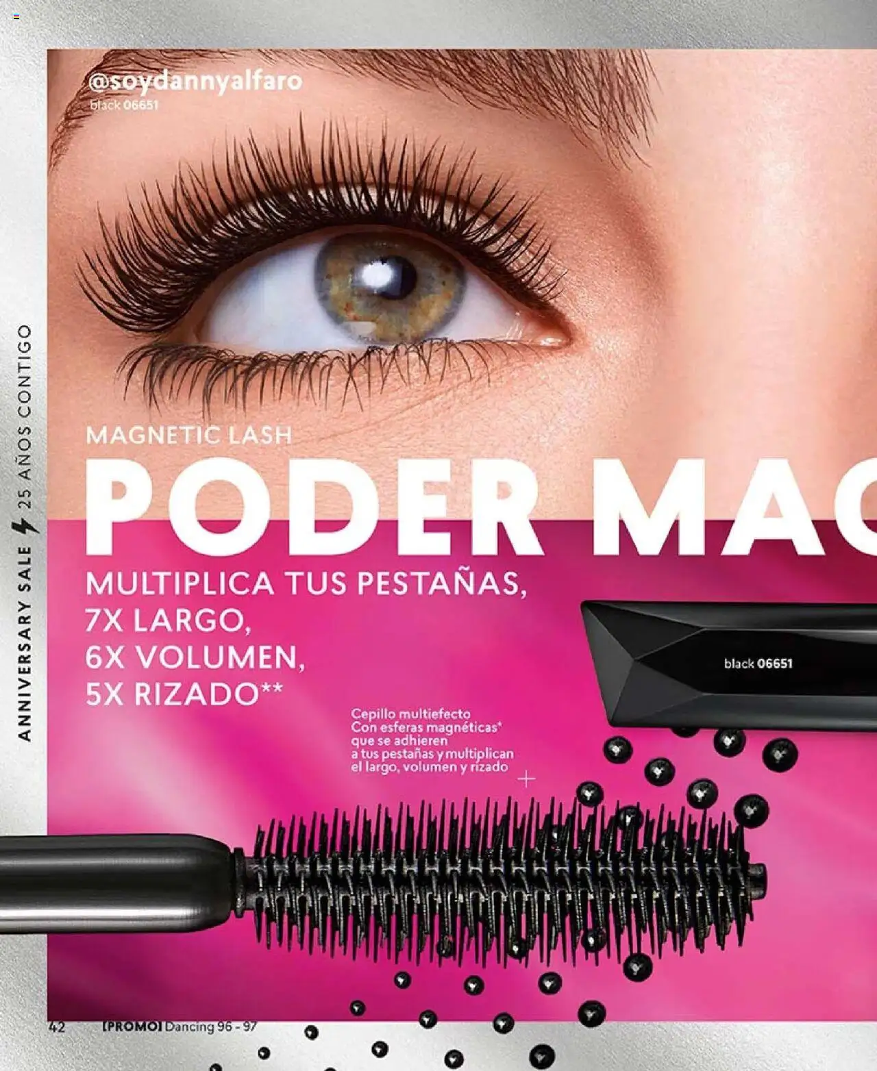 CyZone revista - valida desde el 16.06.2025 | Página: 42 | Productos: Cepillo